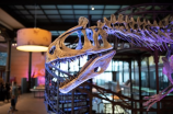 科学家们(科学家们的发现：远古巨鳄曾在恐龙时代狩猎)
