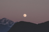 云画的月光：古代马蜂窝或许不是我们想象的那样！