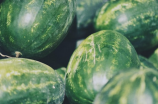夏季必吃水果，西瓜怎么选和吃？